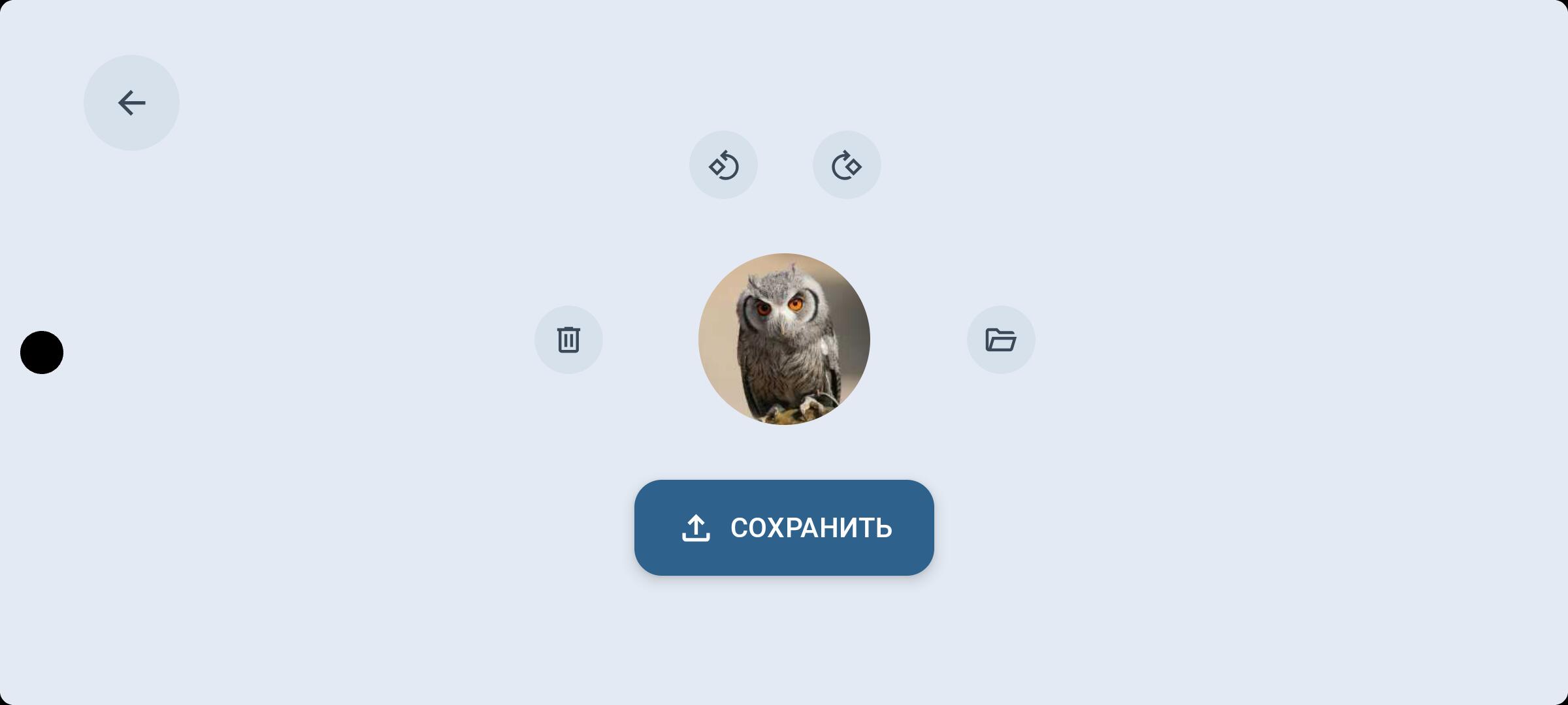 Белка онлайн, снимок 6